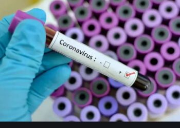 coronavirus