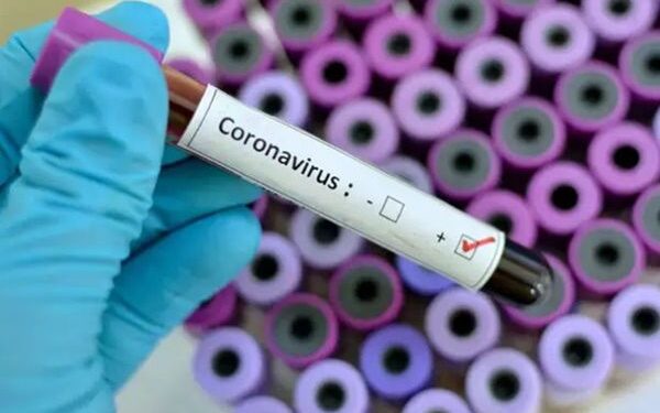 coronavirus
