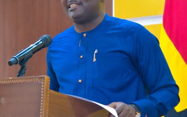 Bawumia achievements government