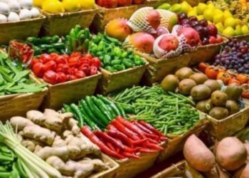 Development Discourse with Amos Safo: Defying the food colonialism agenda