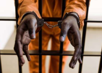 Phone repairer sentenced 14 years for posting woman’s nudes