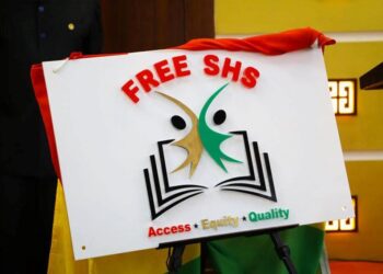 Free SHS is innovative and needs protection –IMF team