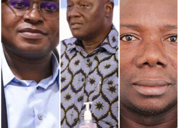 NPP appoints Deputy National Executives and Directors