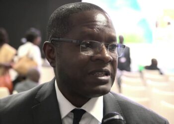 Africa loses up to 15% of its GDP per capita annually due to climate change- Urama
