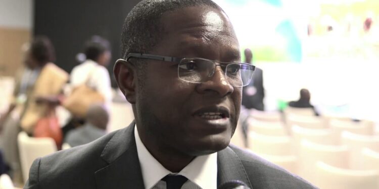 Africa loses up to 15% of its GDP per capita annually due to climate change- Urama