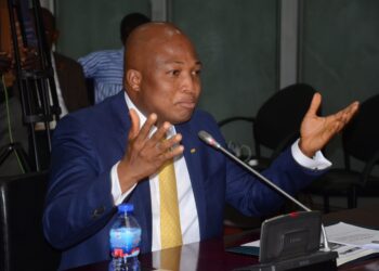 Aisha Huang’s deportation inconsistent with deportation protocols’- Ablakwa alleges