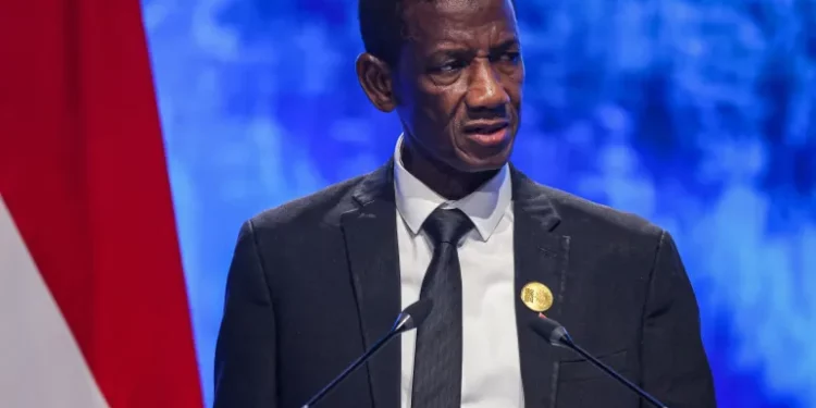 Gambian vice president dies in India after short illness