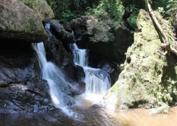 Part of Atewa Forest destroyed by bauxite exploration – A Rocha Ghana boss