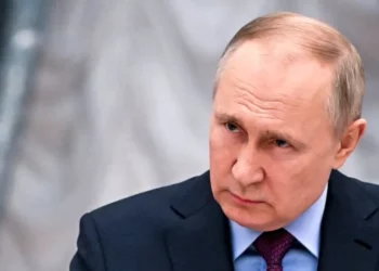 Grain deal: Russia ready to send food for free to African countries in need