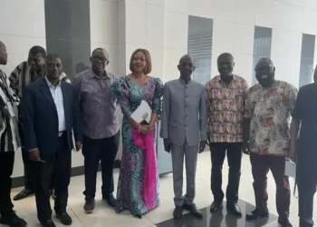 Duffour injunction: EC boycott NDC primaries to avoid contempt