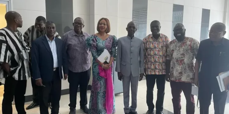 Duffour injunction: EC boycott NDC primaries to avoid contempt