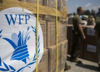 Approximately $14 million foods pillaged in Sudan -World Food Programme