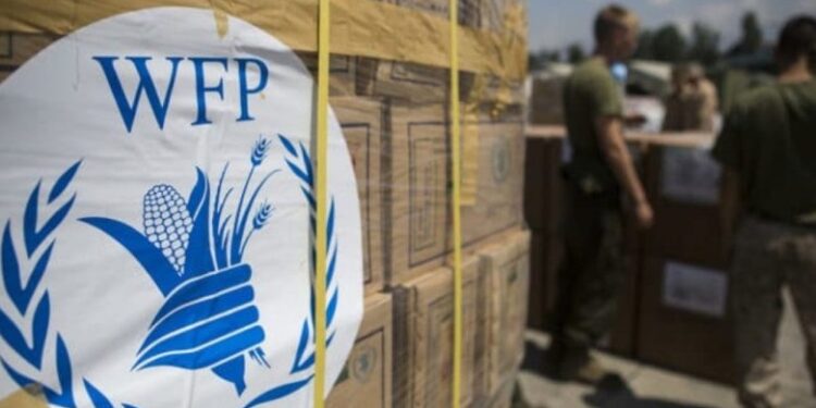 Approximately $14 million foods pillaged in Sudan -World Food Programme