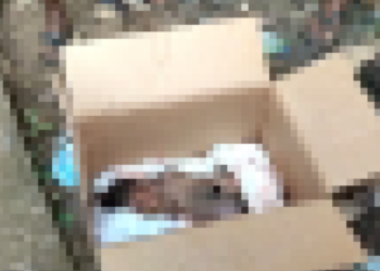 Tesano Cluster: Lifeless baby dumped near  School dumping site