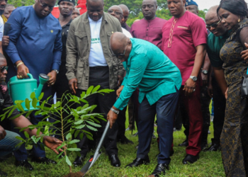 10 million seedlings to be planted on Green Ghana Day